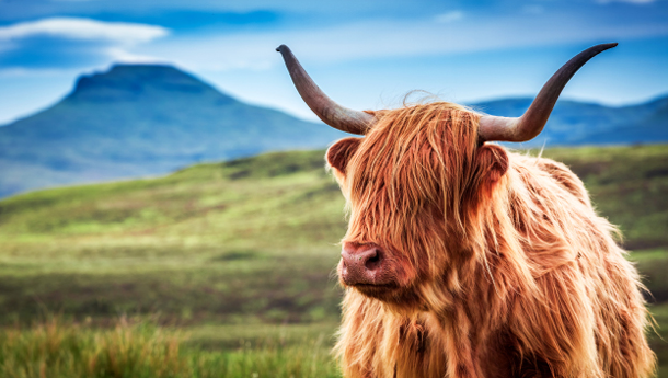 sm_digital_dct_website_content_4_2601_v1