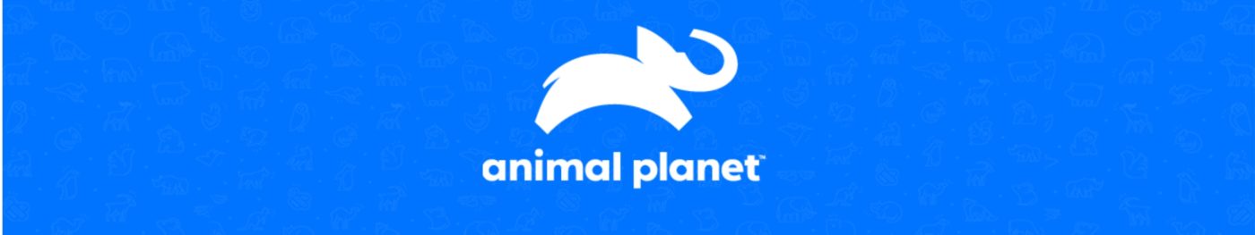 Animal Planet . Thomson & Co. Ltd. Animal Planet . Thomson & Co. Ltd.